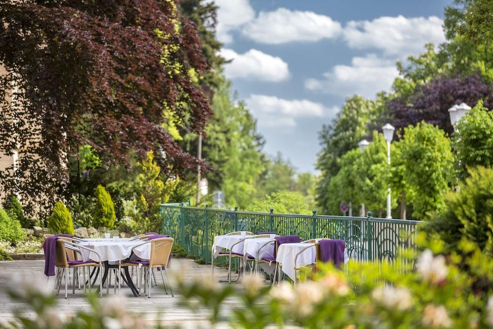 Villa Regent Spa & Wellness Mariánské Lázně Exterior foto